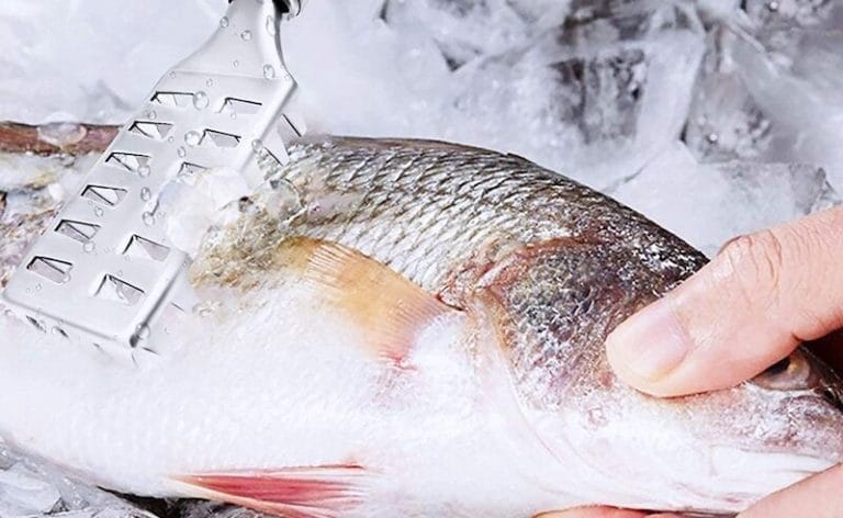Fish Scaler