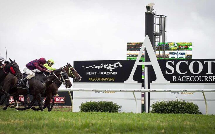 The Ascot Gold Cup