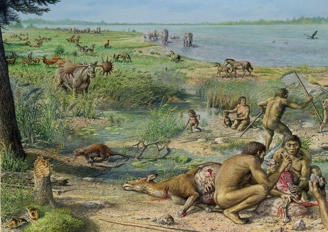 An average day in the Stone Age