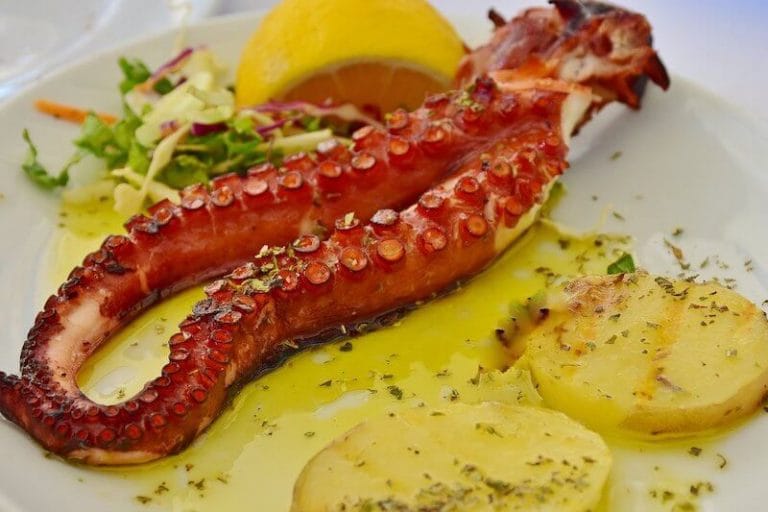 Squid