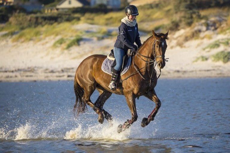 horse riding