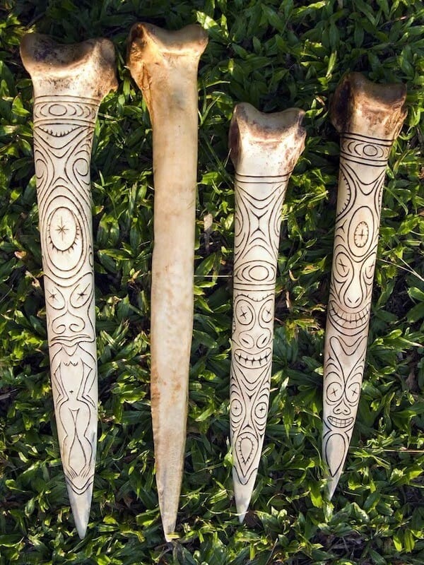 Cassowary bones