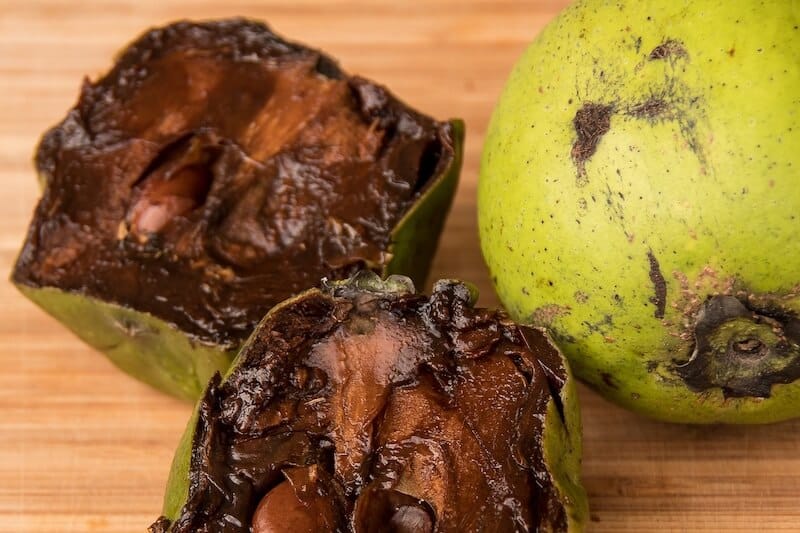 Sapote