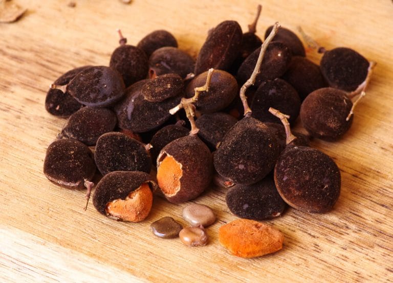 Velvet Tamarind