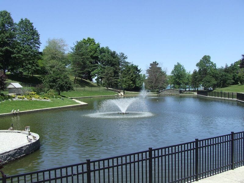 duck pond