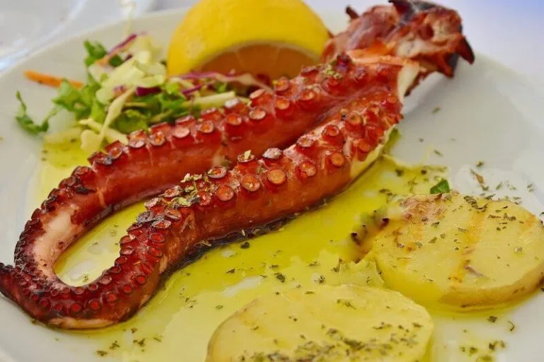 Squid