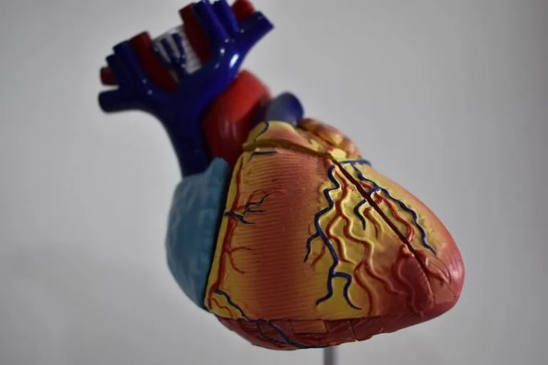 heart